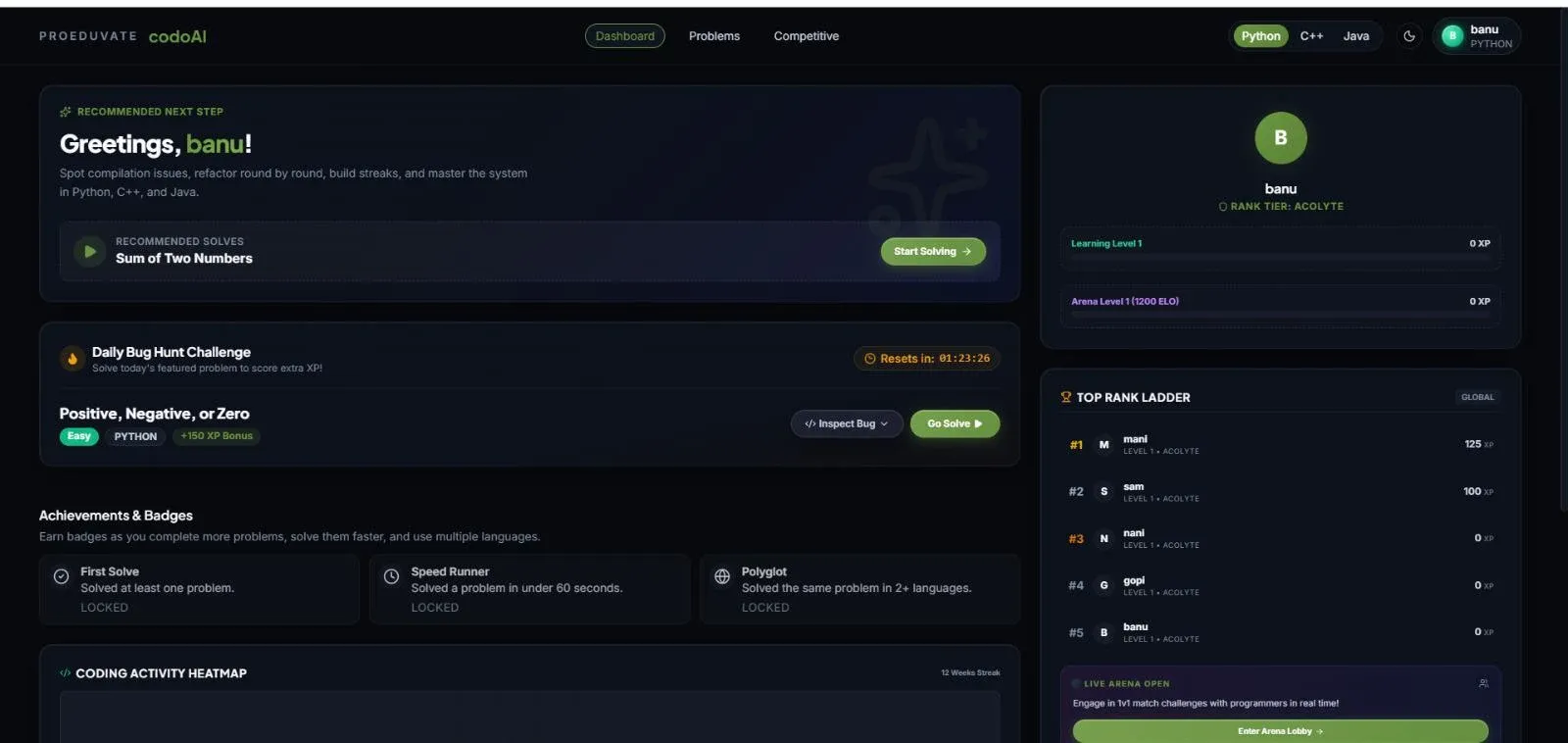 CodoAI interface